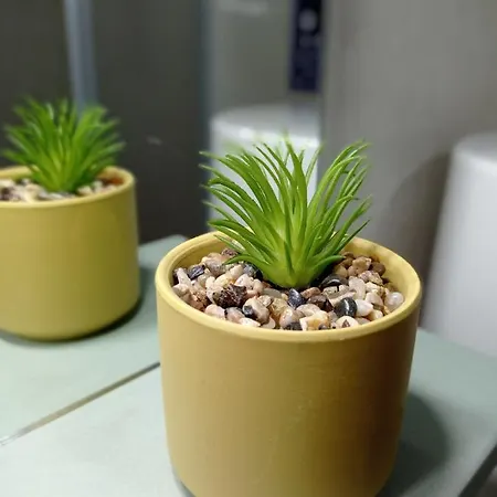 招待所 Martinez Pilgrims *